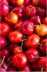 A close-up of a pile of red cherries 