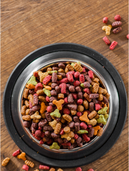 Multicolored dry cat kibble in a bowl