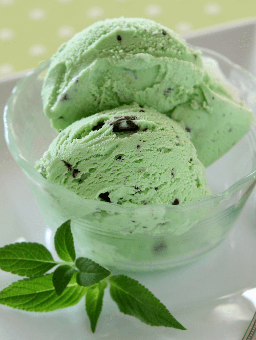 A bowl with two scoops of mint chocolate chip ice cream