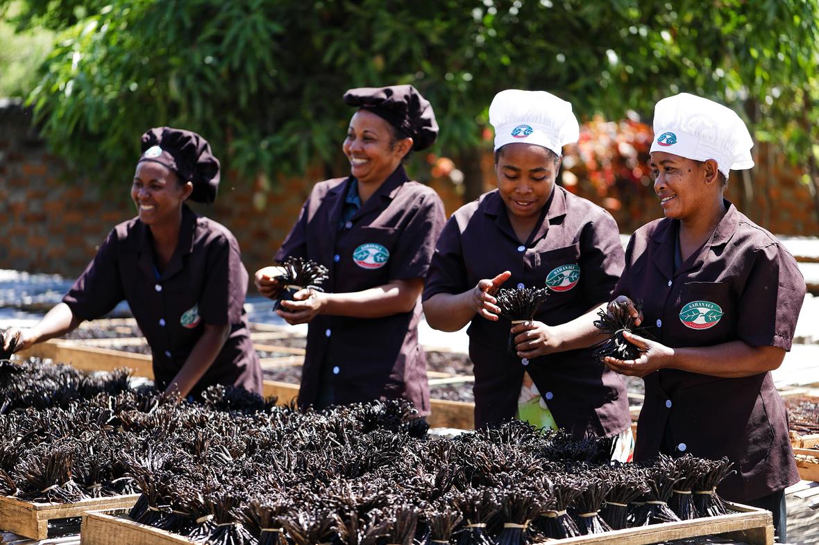 Four female employees, smiling and sorting vanilla bean pods