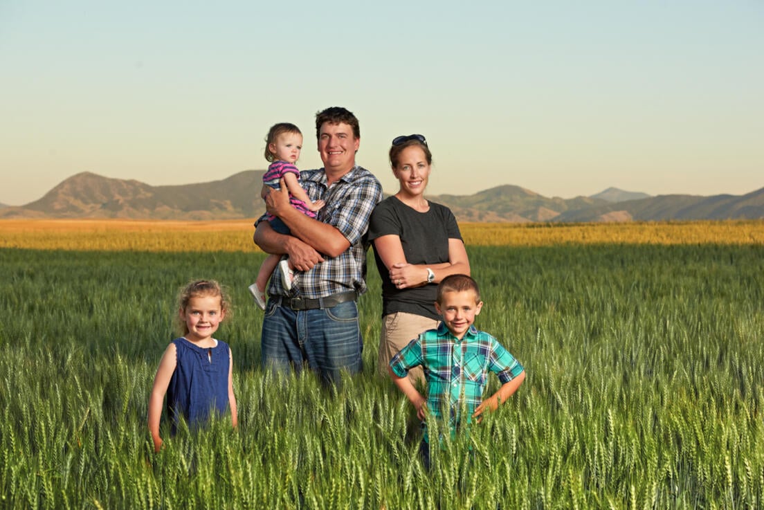 BaumFamily2 MT wheat growers