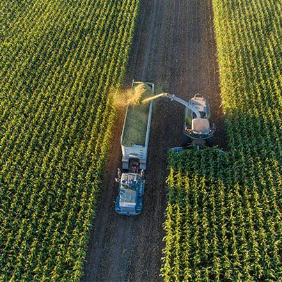 field harvest 405x405