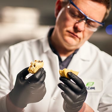A scientist examining a baked good made with organic flour