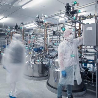 Employees in protective gear in an industrial lab setting