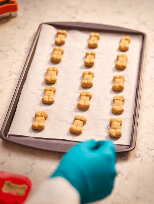 Dog treats sitting on a baking sheet as a gloved hand reaches for them