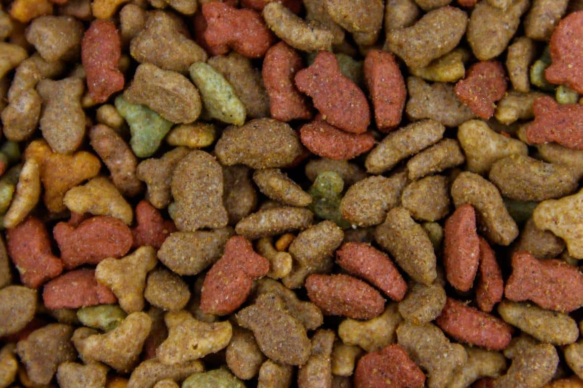 A zoom-in of kibble