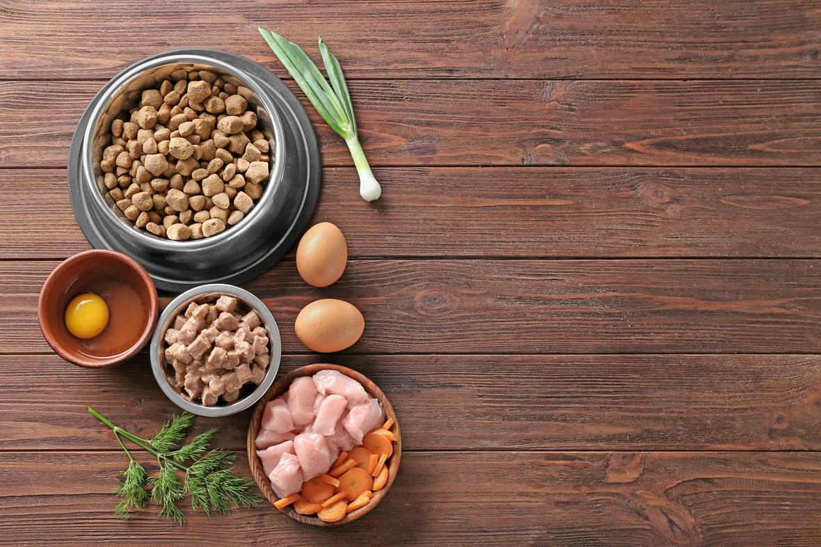 Bowls of pet food in a cozy setting