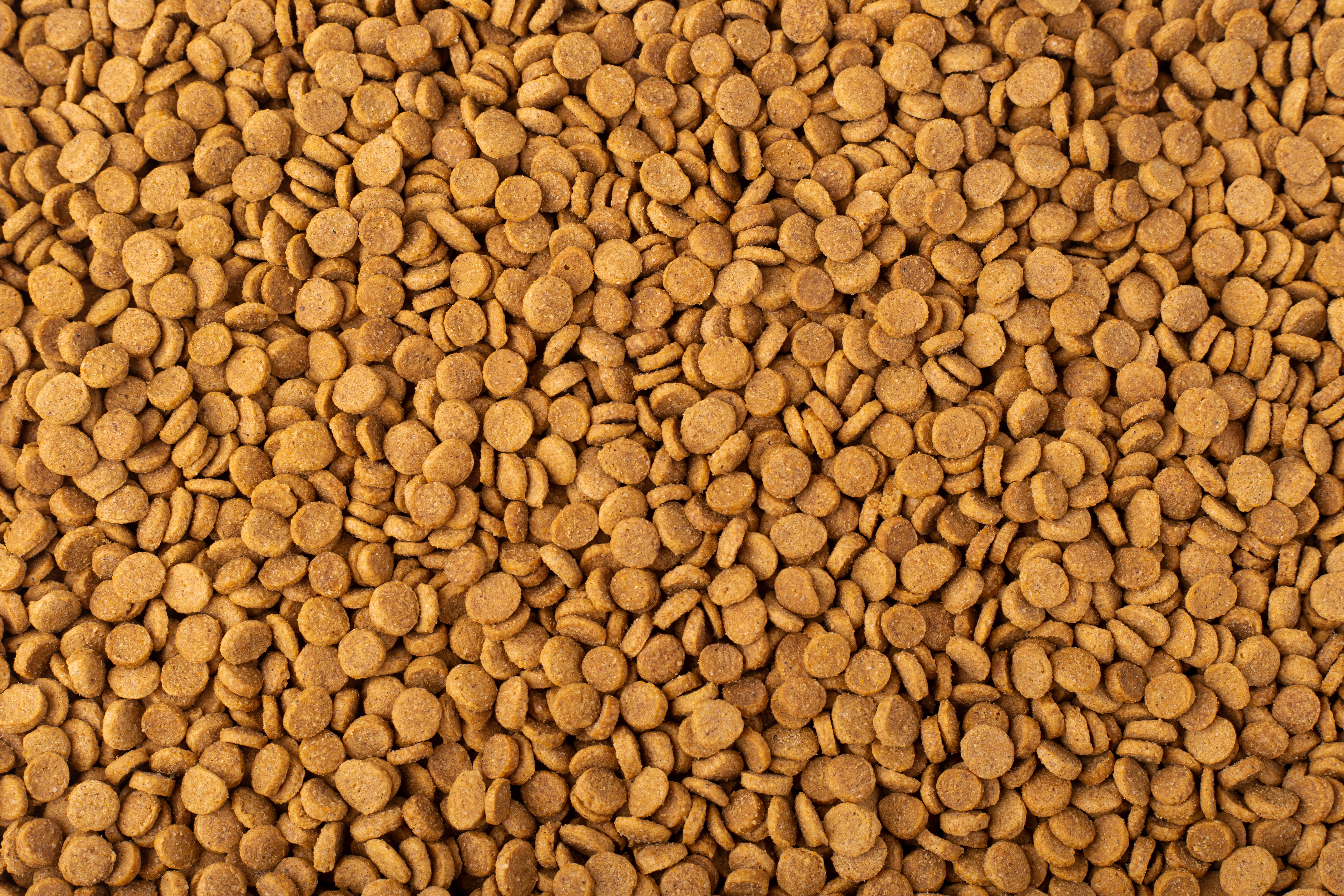 Pet Food in light brown pattern