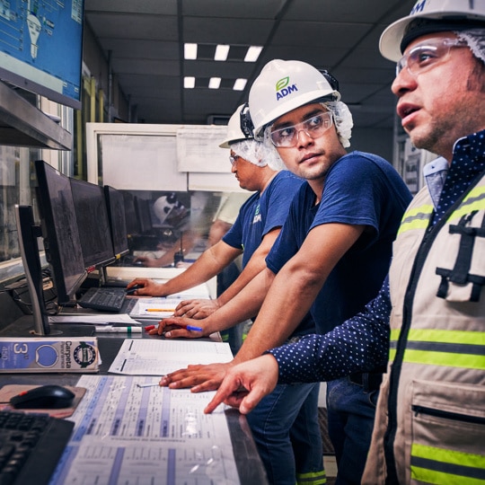 pet premix C12 state of the art blending facility