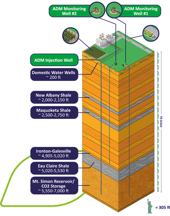 CCS Graphic and Leaf