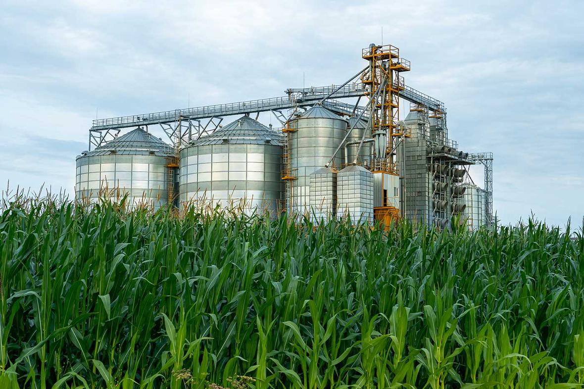 silver silos agro manufacturing plant processing drying cleaning storage agricultural products flour cereals grain large iron barrels grain granary elevator V2