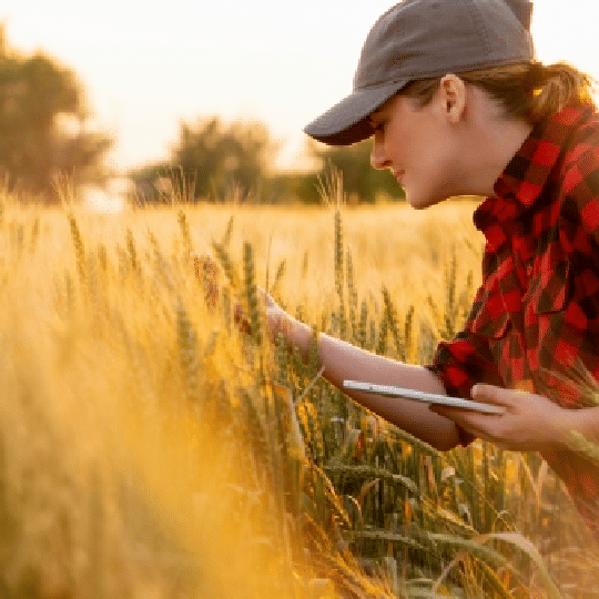 regenative agriculture C12 farmer checking crops