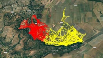 esg stories animal tracking