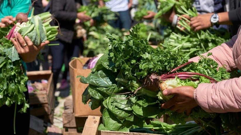 A group of people holding vegetables