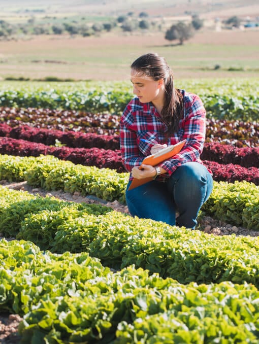 A person in a field of plants