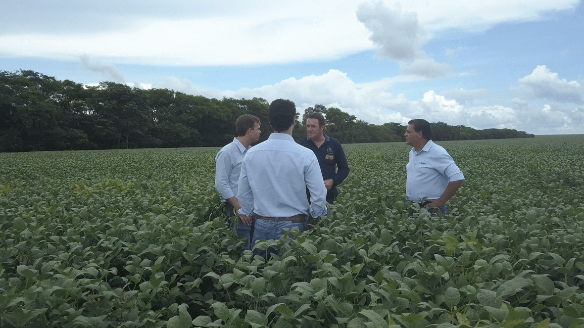 Farmers meeting in a growing field
