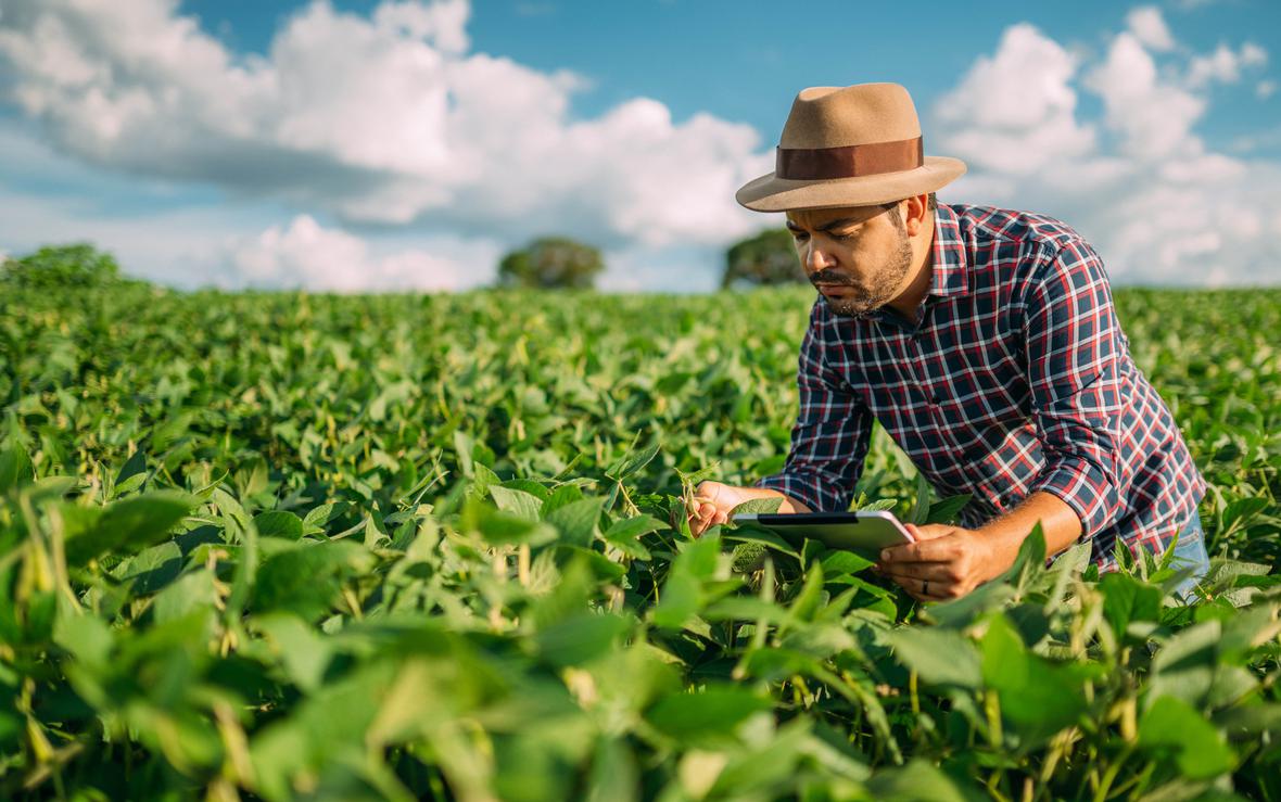 farmer in a field