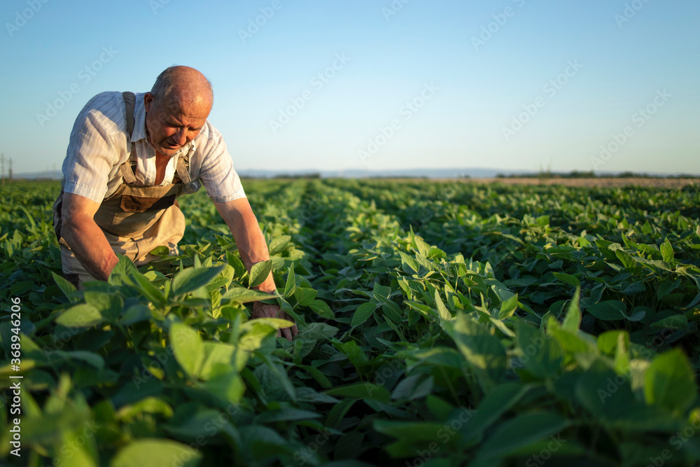 men in the field