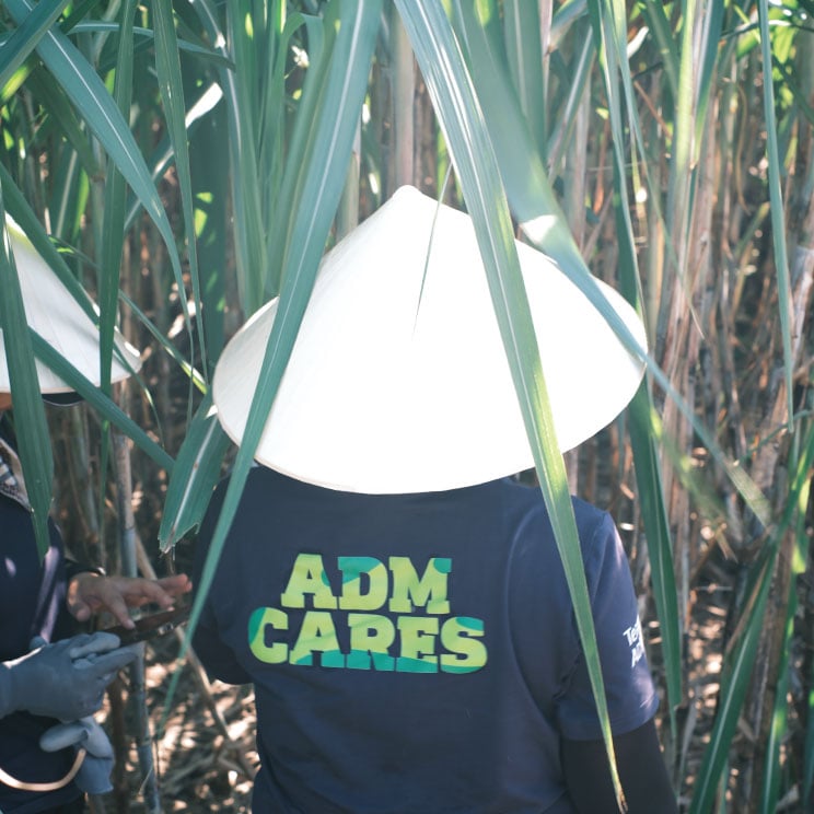 ADM Cares 12 744x744