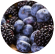 Berries