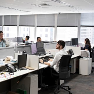 Employees in cubicles