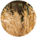 seedwest