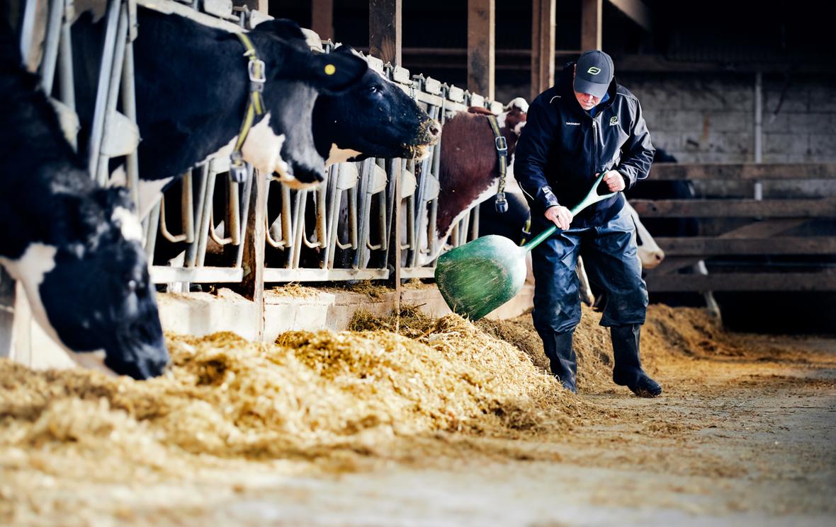 ADM and ForFarmers