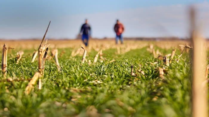 A couple of men walking in a field