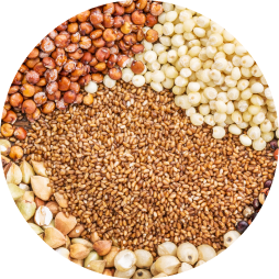 spices