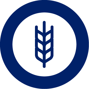 Icon for ADM AN Mycotoxins management, part of SINCRO Services