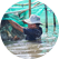 worker in an aquaculture farm