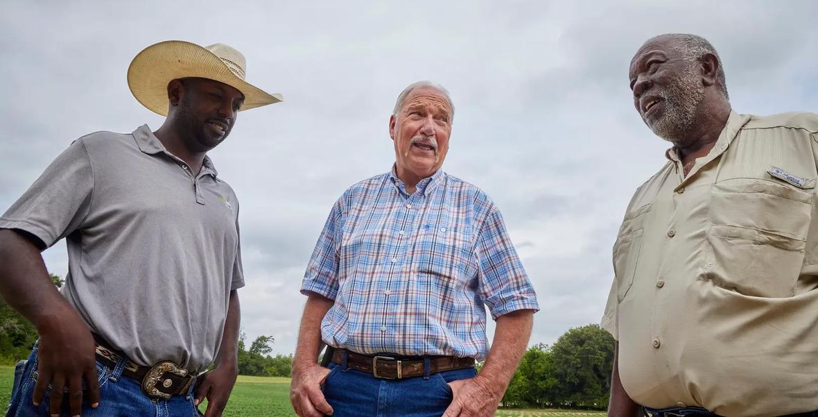 Three farmers chatting in a field.