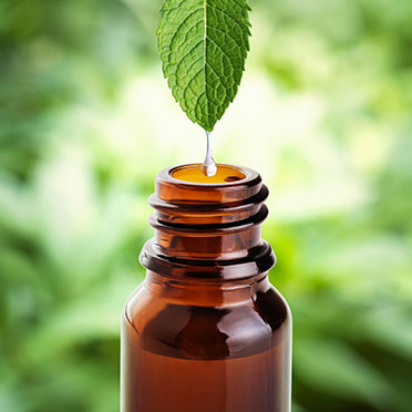 A drop of mint extract dripping from a dropper into a bottle