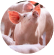 A group of healthy pigs