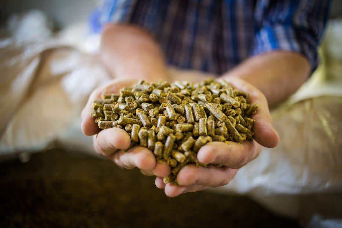Animal nutrition products in hands of farmer