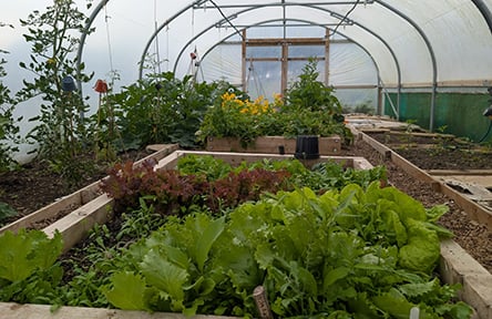 ADM Cares Jamie's Farm