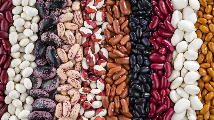 Rows of different types of beans