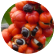 red coffee beans