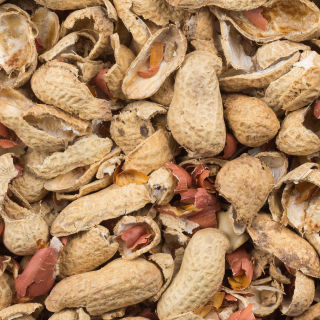 Closeup of peanut hulls