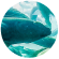  A school of fish in water