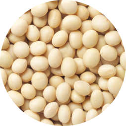 sp flours c7 texture L