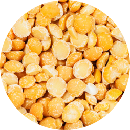 Dry beans