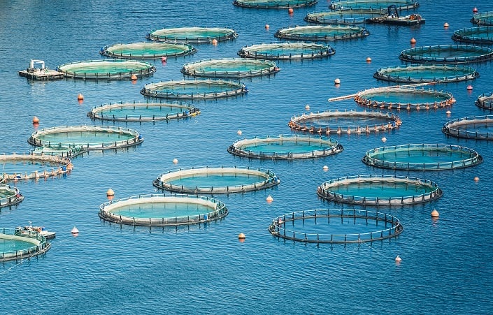 adm aquaculture
