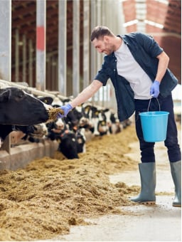 homepage c10 01 feeding