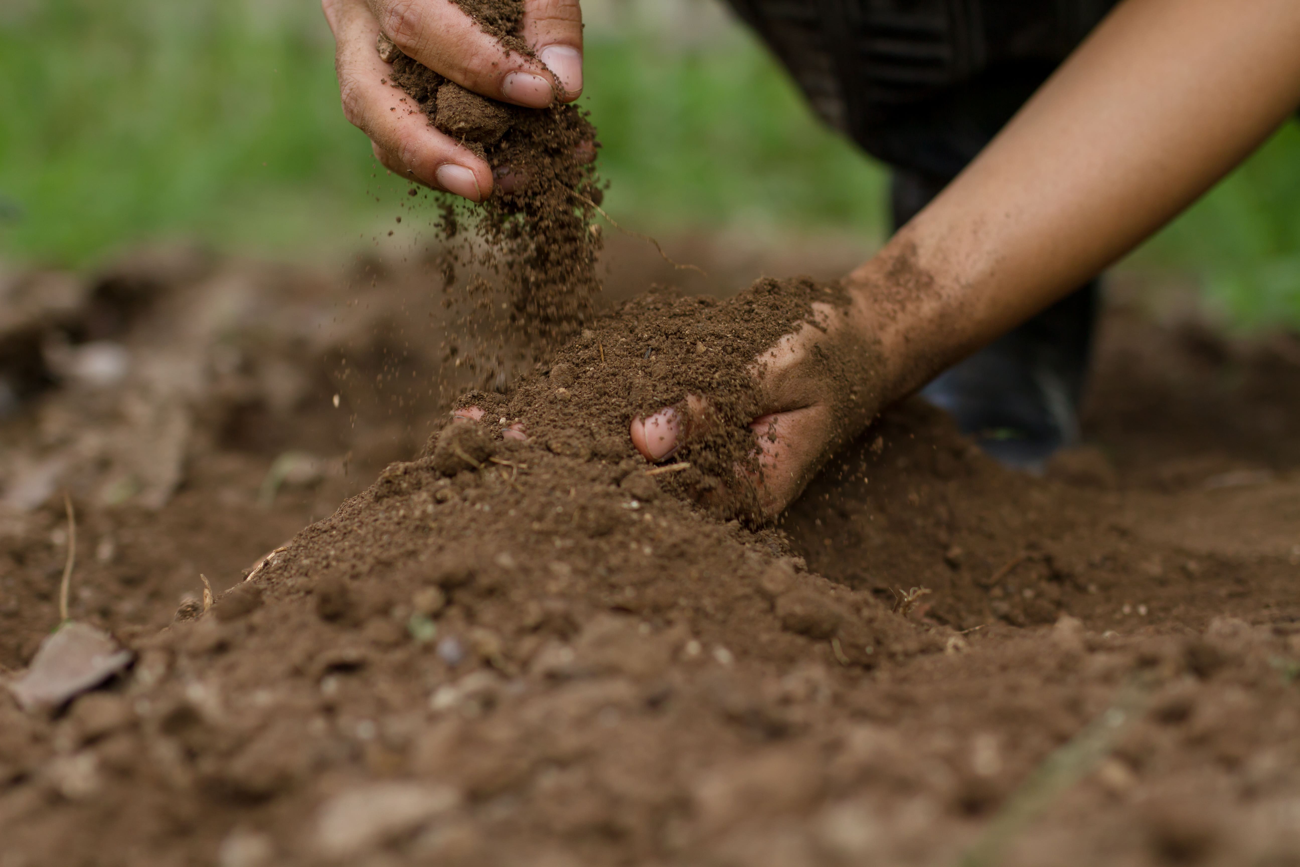 soil AdobeStock 361125732 min