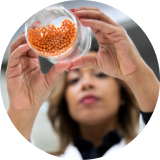 woman looking at jar of seeds