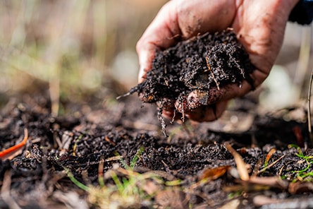 Farming for the Future