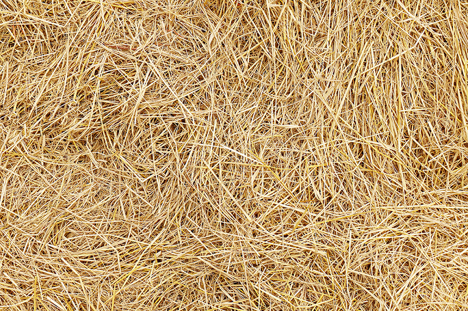 hay