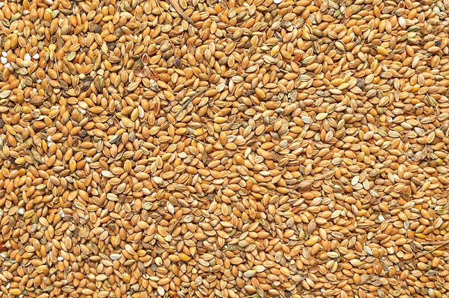 animal nutrition