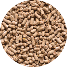  A close up of feed pellets